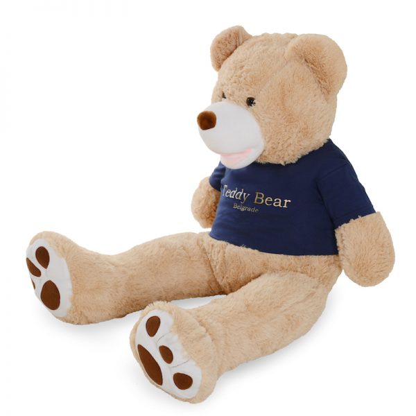 The Teddy Bear 1m - Golden Blue