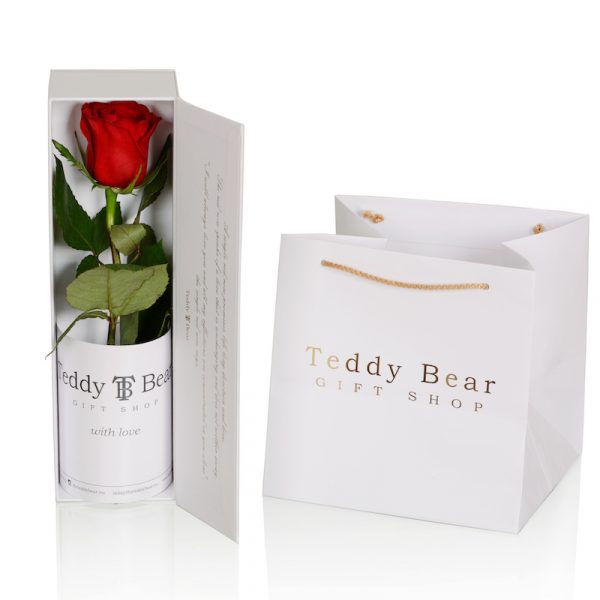 Teddy Bear Single Rose White Red 3